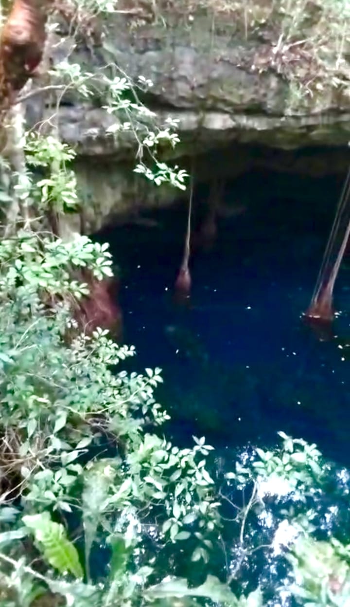 Parcela cerca de av. La sierra (con cenote) 20 hectáreas en Colonia, Yucatán