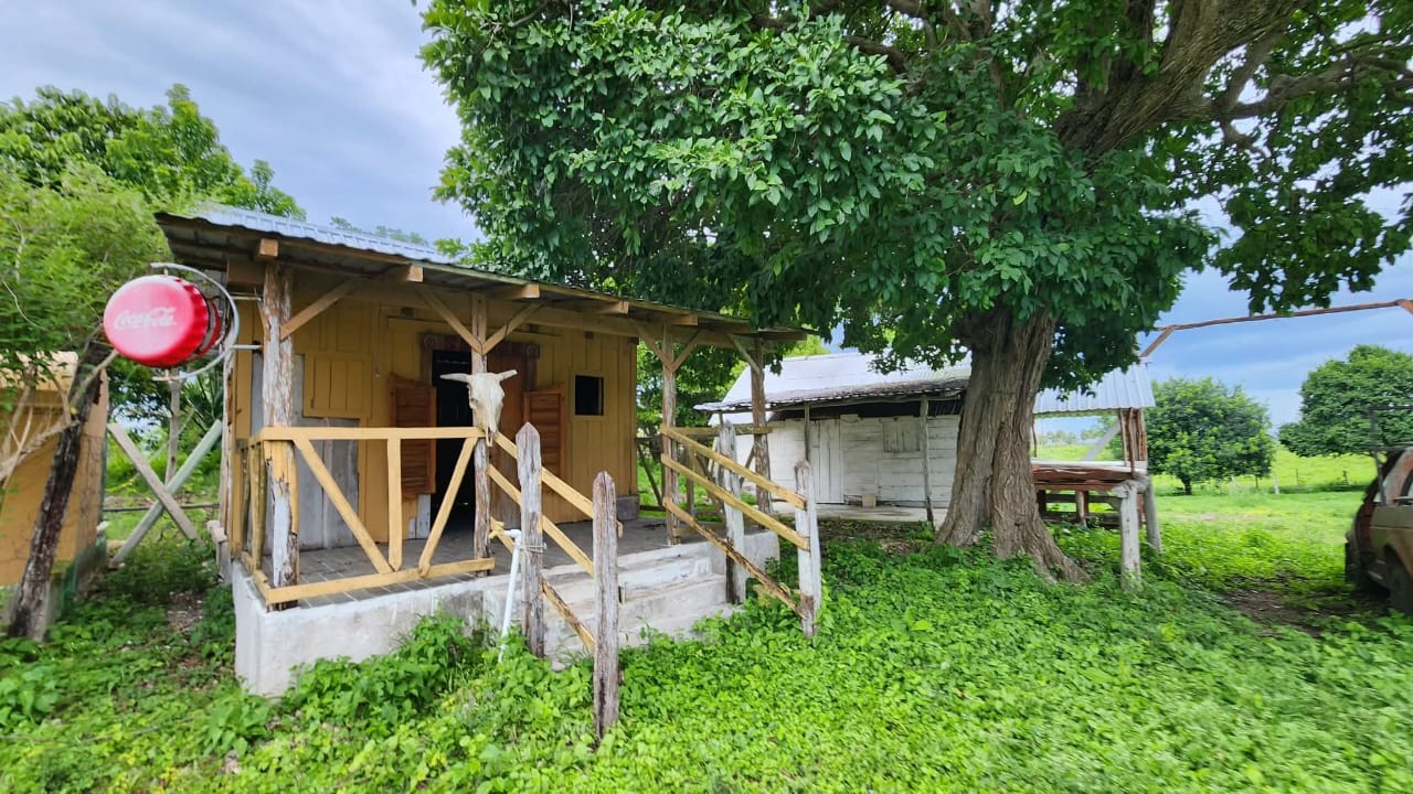 Rancho en Tizimín a orilla de la carretera.