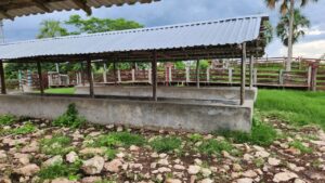 Rancho en Tizimín a orilla de la carretera.