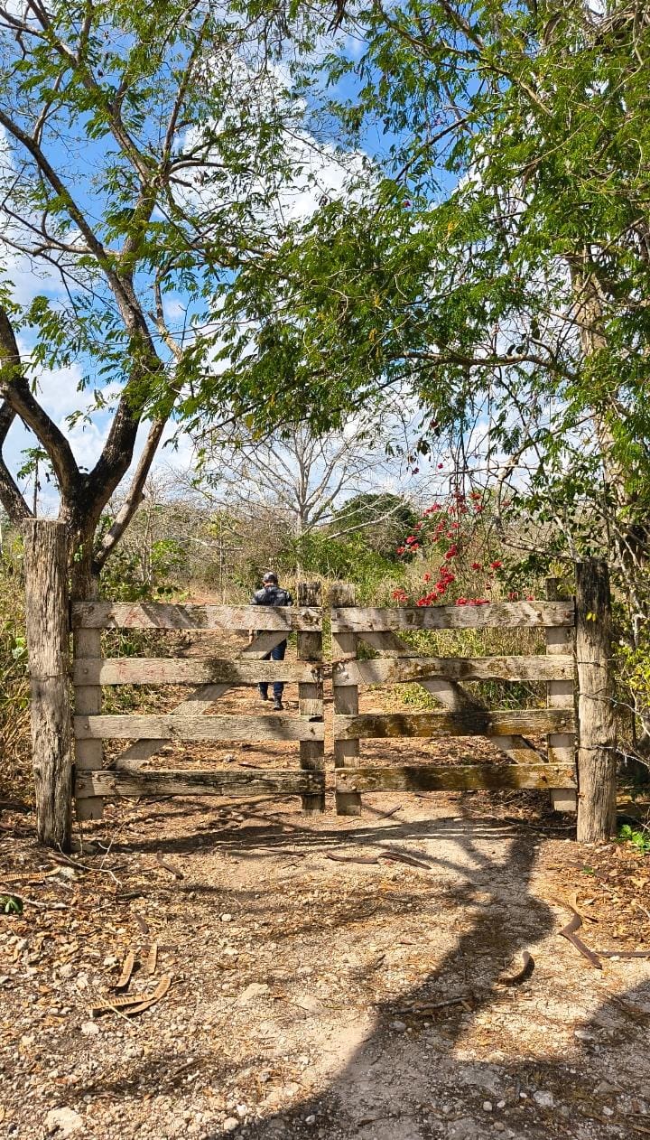 Rancho la S de 75 hectáreas