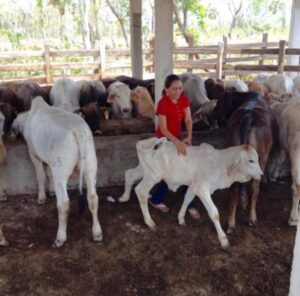 Ex-Rancho de 18 Hectáreas