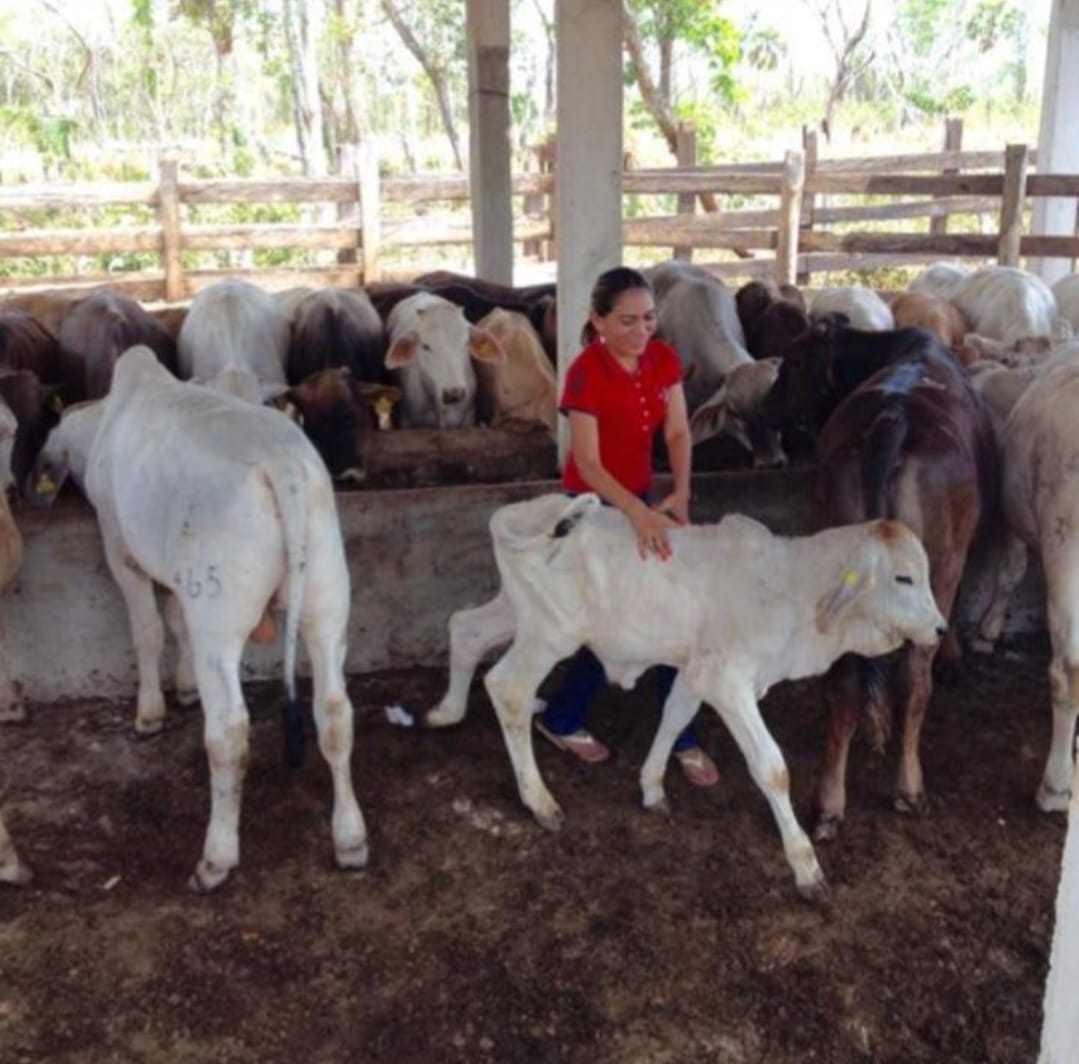 Ex-Rancho de 18 Hectáreas