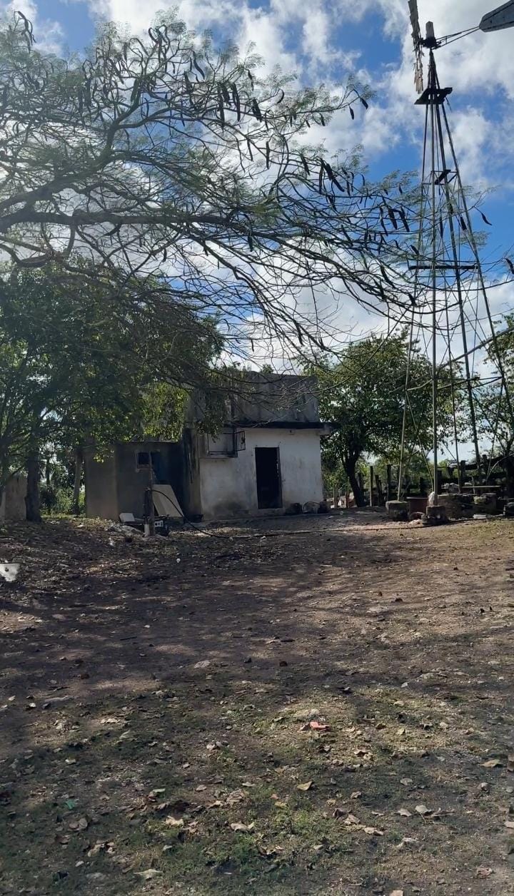 Rancho Lázaro con 156 hectáreas