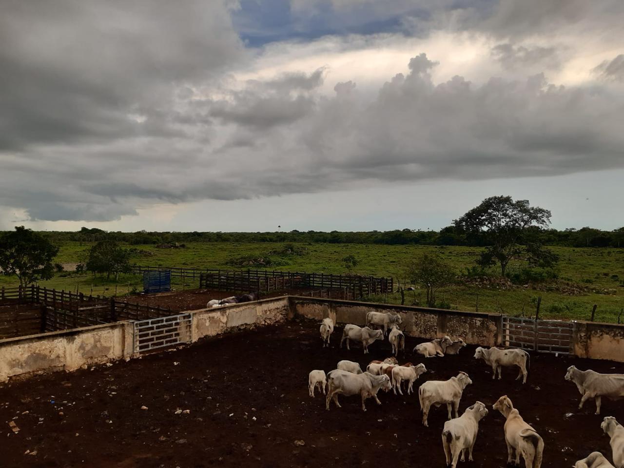 Rancho Xpanhatoro de 126 hectáreas