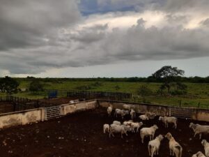 Rancho en Xpanhatoro