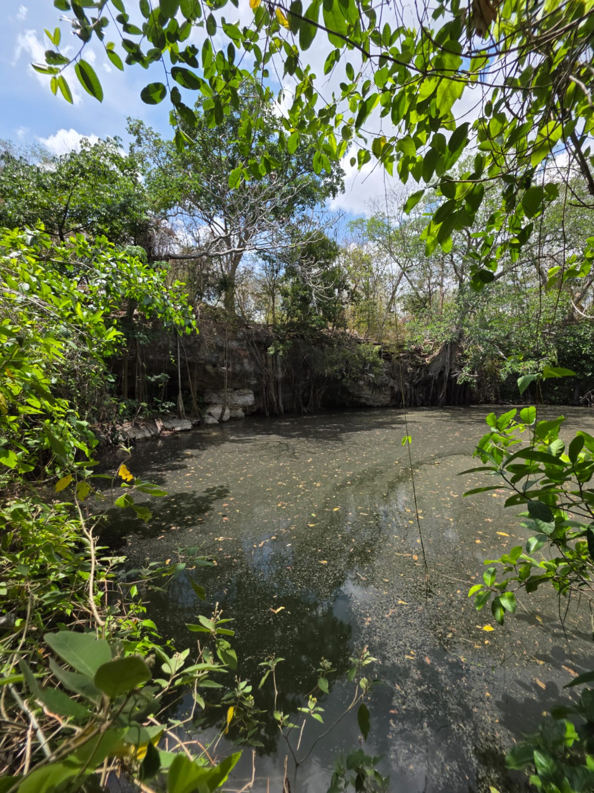 Rancho Kuibacab de 33 hectáreas