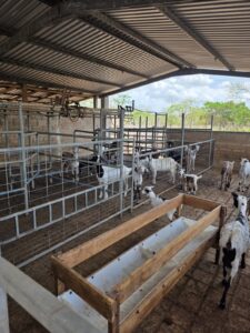 Rancho Kuibacab de 33 hectáreas