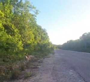 Parcela de 1 hectárea en Leona Vicario, Quintana Roo