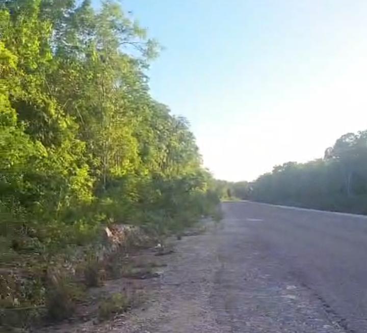 Parcela de 1 hectárea en Leona Vicario, Quintana Roo