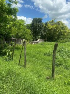 Rancho de 74 hectáreas en Peto, Yucatán