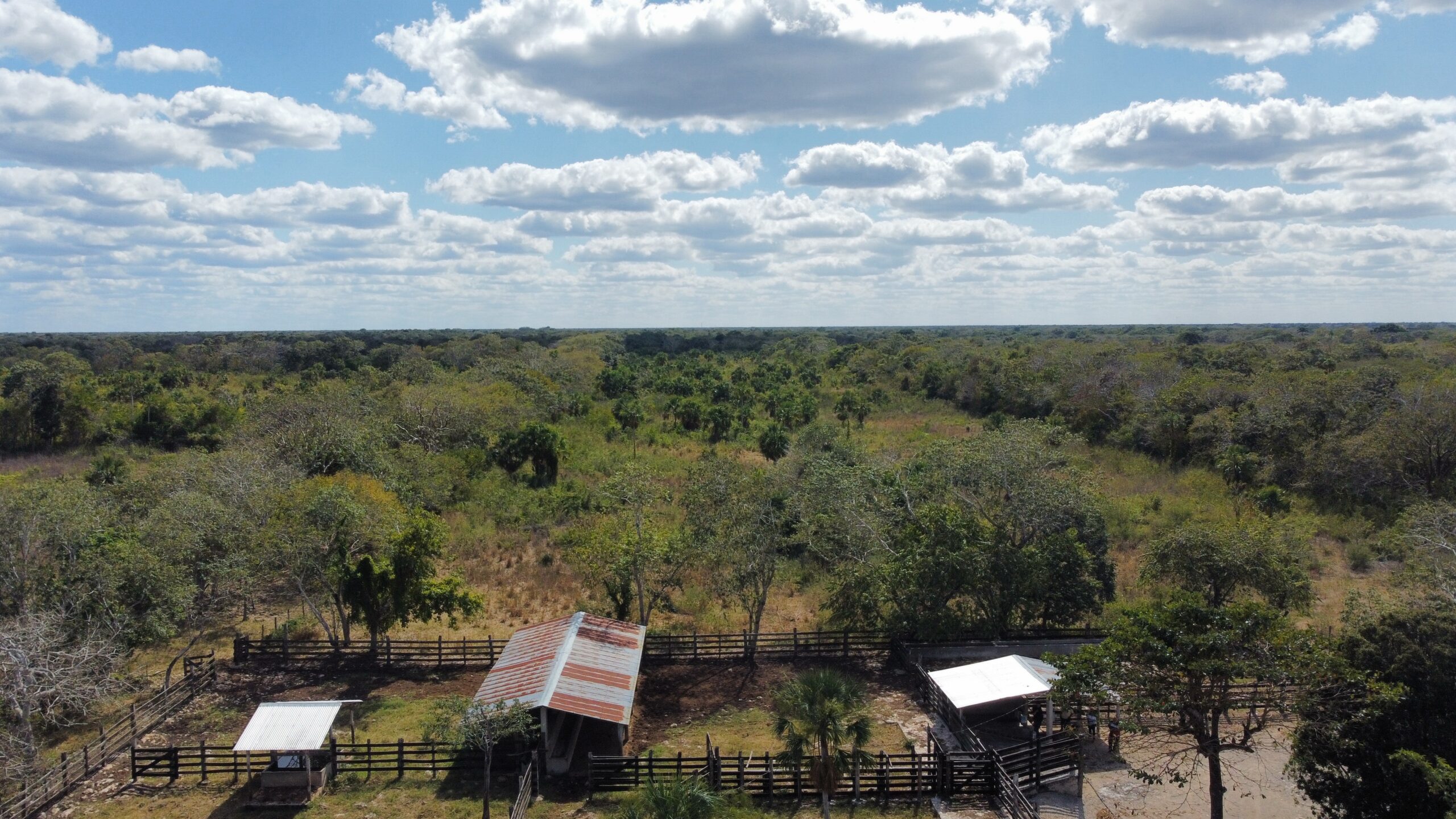 Rancho San Antonio de 98 hectáreas